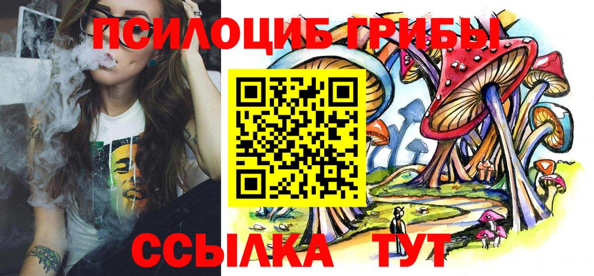 Галлюциногенные грибы MAGIC MUSHROOMS  Вход с VPN  Менделеевск  Псилоцибиновые грибы мицелий 