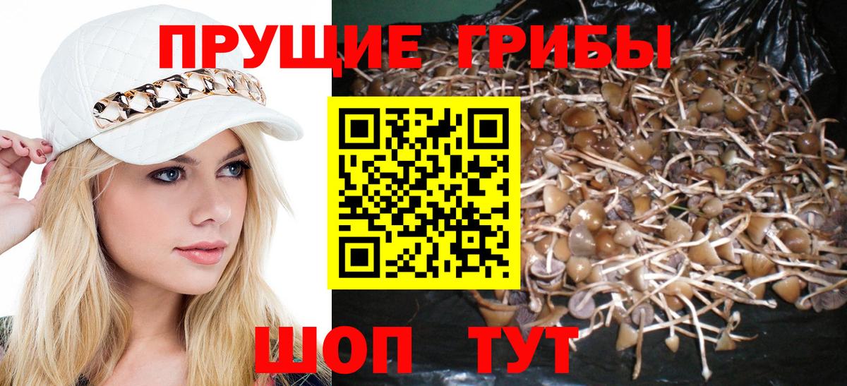 Псилоцибиновые грибы GOLDEN TEACHER Менделеевск
